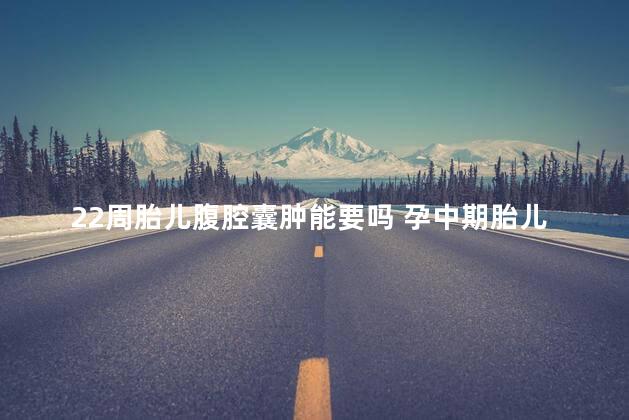 22周胎儿腹腔囊肿能要吗 孕中期胎儿双侧脉络丛囊肿